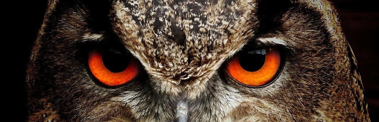 Take a close look